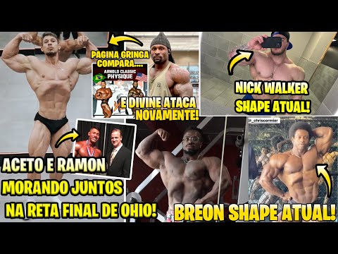 ACETO E RAMON MORANDO JUNTOS NA FINALIZACAO! BREON SHAPE ATUAL! GRINGO ATACA NOVAMENTE! NICK WALKER