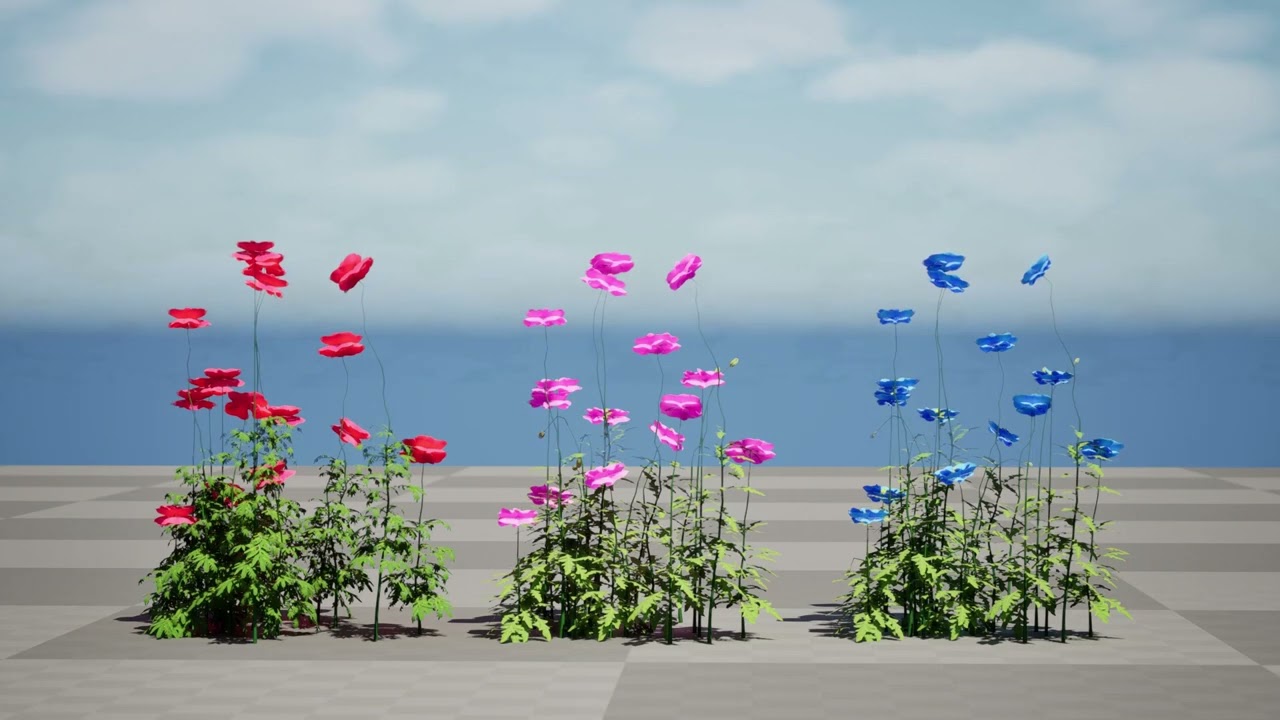 Roślina kwitnąca maku Flandrii Model 3D