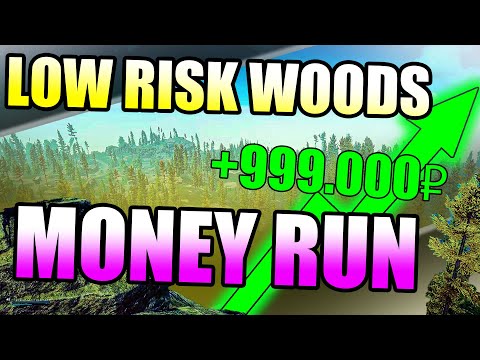 BEST LOW RISK Loot Run in EFT NEW WOODS TARKOV (Make Money in Escape From Tarkov 12.9)