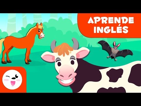 Animales vertebrados: Mamíferos en inglés - Ciencias para niños