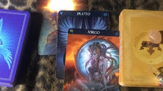 Virgo in Sun and Pluto