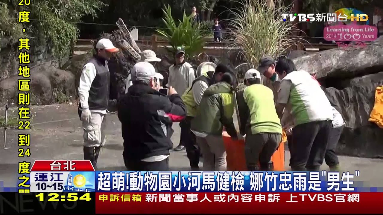 小河馬頭好壯壯！　出動10工作人員搞定健檢