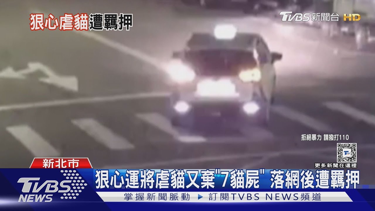 狠心運將虐貓又棄「7貓屍」　落網後遭羈押