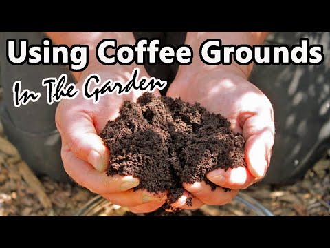 Before You Even Think About Using Coffee Grounds In Your Garden Watch This!