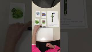 ‘f’ sound RWI (set 1)