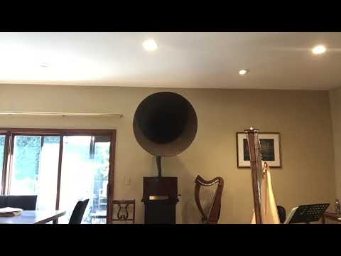 ARNOLD FOLDESY plays POPPER Elfentanz  1924