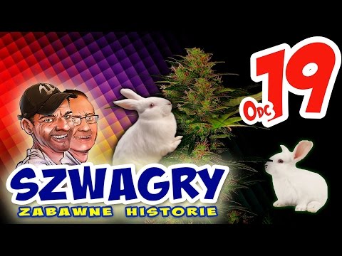 Szwagry 19 - Króliki.