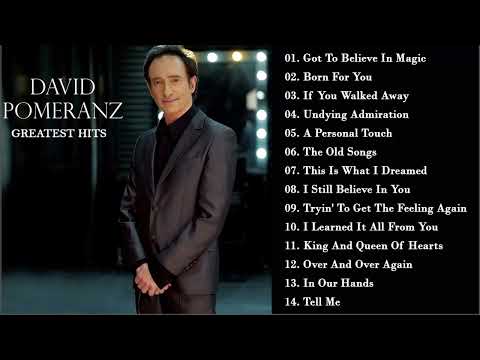 David Pomeranz - Greatest Hits Collections All Time - David Pomeranz Hits Songs - On this day ( HQ )