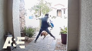 Delivery Driver Saves Homeowner &amp; Dog from Pit Bull Attack | Neighborhood Wars | A&amp;E