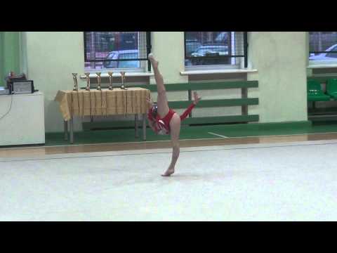 ŽEMYNA STOČKUTĖ 2012-11-28