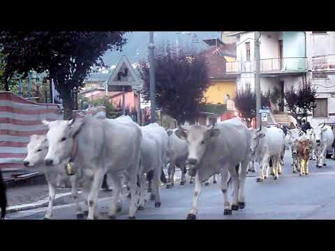 Montella transumanza "Patrimonio materiale" Unesco.