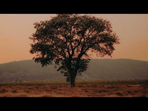 İlhan Berk - Ne Böyle Sevdalar Gördüm Ne Ayrılıklar [Şiir Fon Müziği]