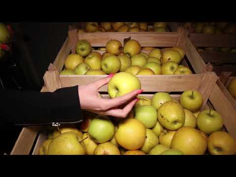 Svet poljoprivrede ep. 71 26.01.2021. NAJAVA