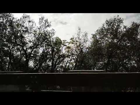 Driving from Sistiana towards Trieste IV, Duino-Aurisina, Venezia-Giulia, Italy, 05/10/22