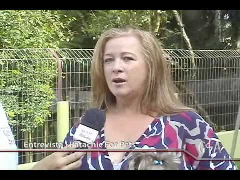 Programa Gente e Atitudes | Entrevista | Patachic For Pets | Lione Maria Rhoden | Giana Bassi Silva