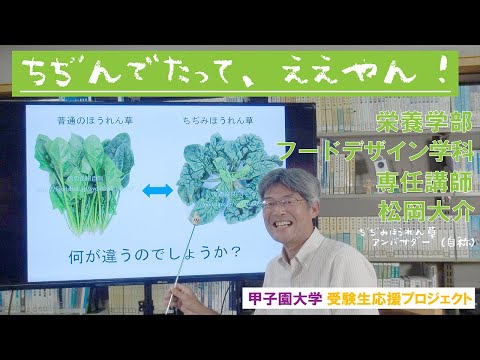 ちぢんでたって、ええやん！