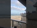 Feeding Seagulls