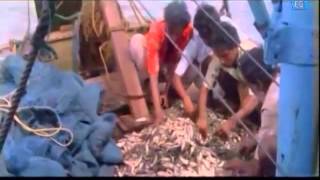 Alakadalinakkare