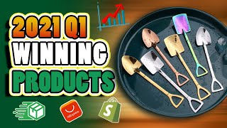 🔥TOP 8 SHOPIFY WINNING PRODUCTS TO SELL IN JANUARY 2021 Aliexpress DROPSHIPPING