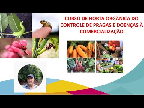 CURSO DE HORTA ORGÂNICA DO CONTROLE DE PRAGAS E DOENÇAS À COMERCIALIZAÇÃO