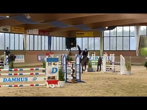 Cordijana (6 yrs Comme il faut x Weinberg/Pilot) Springpferde M - Heiden