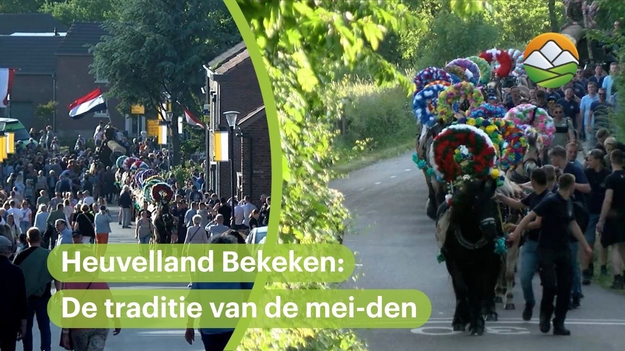 Heuvelland Bekeken: De traditie van de mei-den