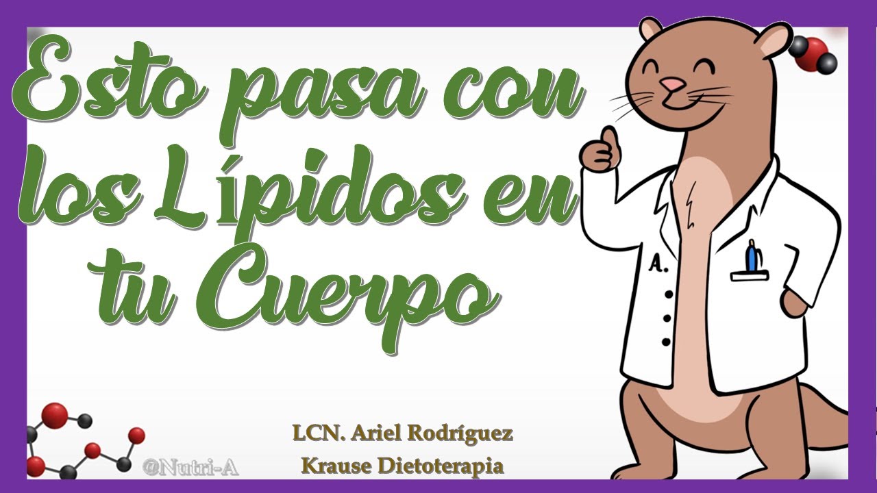 ¿Cómo se hace la DIGESTIÓN de LÍPIDOS?  / Digestión de Macronutrientes en Nutrición