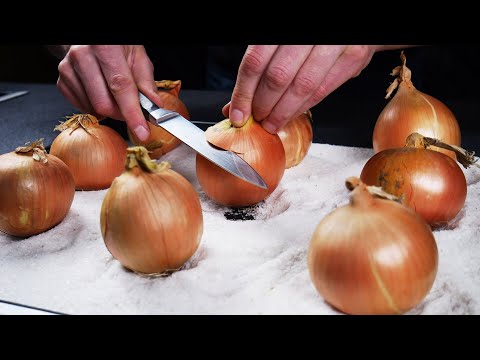 3 Delicious Onion Recipes to Try this Spring