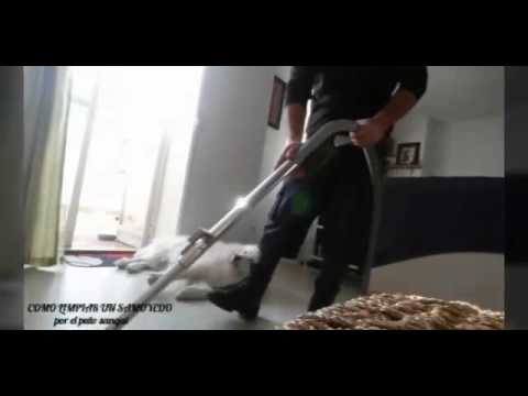 PERRO AGRESIVO VS ASPIRADOR