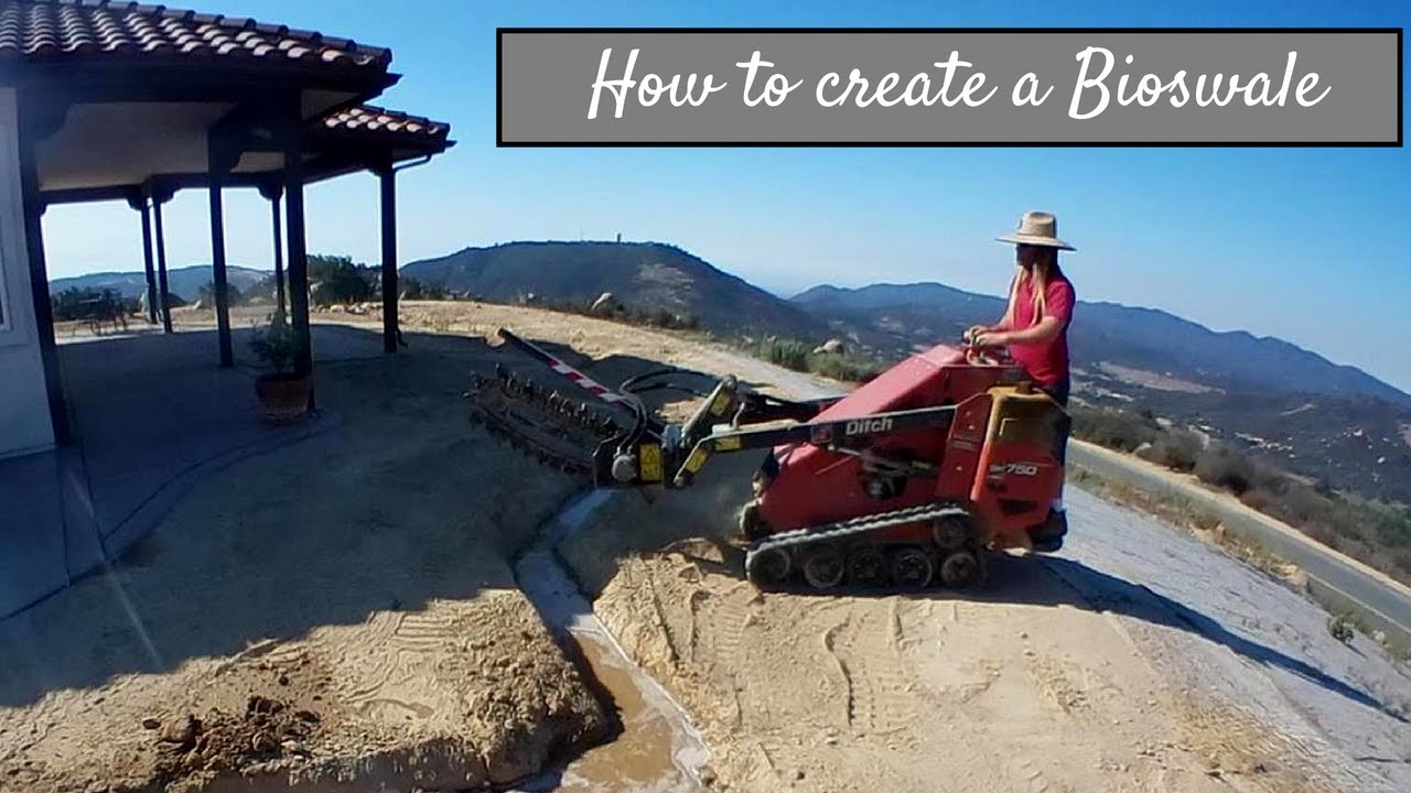 How to create a rain capturing bioswale.