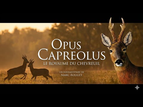 Opus Capreolus le film