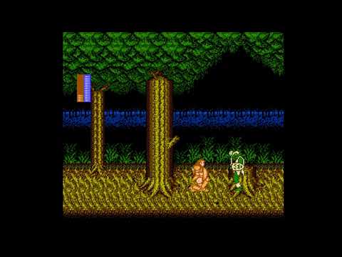 Castle of Dragon (NES) 5MG