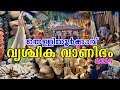 തെള്ളിയൂർക്കാവ് വൃശ്ചിക വാണിഭം 2024 Thelliyo