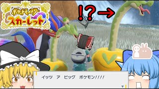 【ゆっくり実況】でっかい色カミツオロチ狙ってみた！【ポケモンSV】