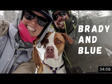 Why Brady and Blue left SV DELOS