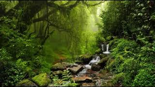 Download lagu SUARA AIR MENGALIR DAN BURUNG DI HUTAN mp3 Download lagu SUARA AIR MENGALIR DAN BURUNG DI HUTAN mp3