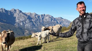Nuo krašto iki krašto Day10 Spain, Picos kelias, geriausia kelionės diena