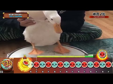 Duck Plays the Hardest Song in Taiko Drum Master