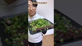 カツオのたたきのラバ刺し風！！簡単、早い、うまい！！ #料理 #独身男性＃切るだけ＃簡単時短＃おつまみ