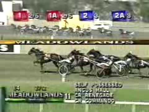 1999 Hambletonian - Self Possessed