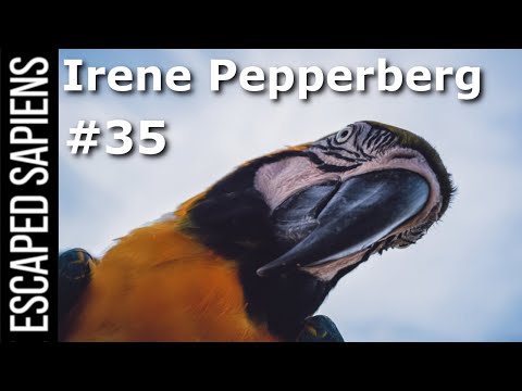 If Animals Could Talk | Irene Pepperberg | Escaped Sapiens #35