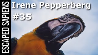 #35 Irene Pepperberg | If Animals Could Talk