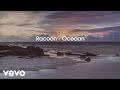 Racoon - Oceaan