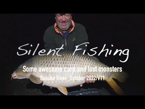 Some awesome carp and lost monsters, Danube River_October 2022/V11