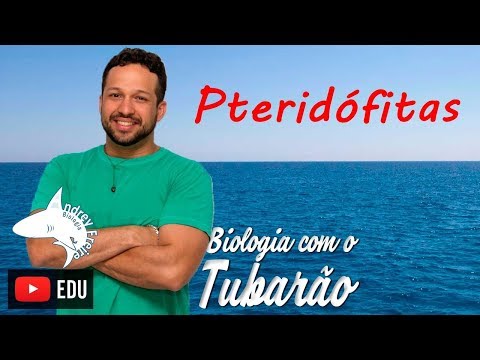 Pteridophytes - Botany - Biology with Sharks