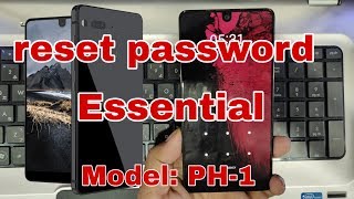 Reset Password Essential, Model: PH-1