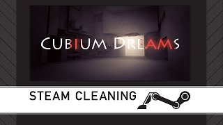 Steam Cleaning - Cubium Dreams