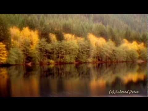 BERNWARD KOCH - Wonderful Glider
