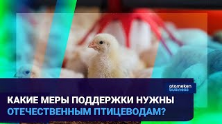 ПРОБЛЕМЫ АГРОБИЗНЕСА: В ПАВЛОДАРЕ НА ГРАНИ ЗАКРЫТИЯ ПРОИЗВОДСТВО ИНДЮШКИ