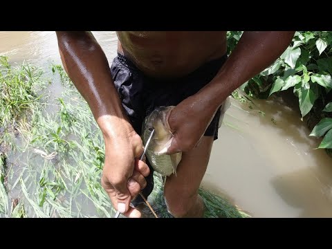 SE03EP152 - BATTLE to SURVIVE - Nag BENTA KAMI ng HULI | MAGKANO ang PRESYO ng ISANG MAMAW | SPC Lag